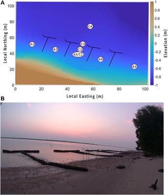 Ship wake forcing and performance of a living shoreline segment on an estuarine shoreline